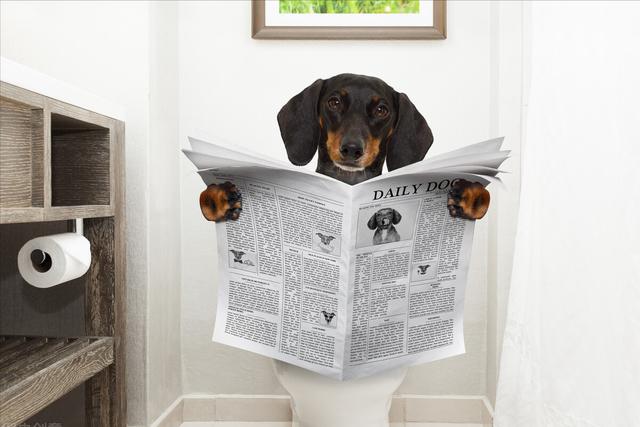 养成好习惯 秋冬少便秘