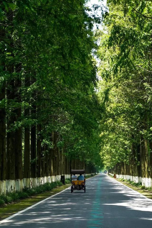 黃海森林公園團建