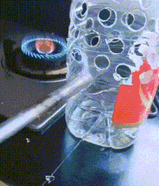 爆笑动图GIF：终于知道小蝌蚪为什么找妈妈了