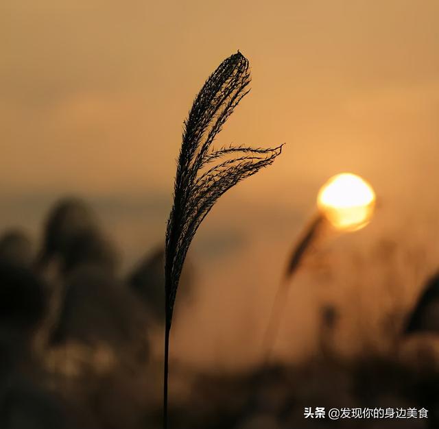 不赌天意，不猜人心，顺其自然，随遇而安