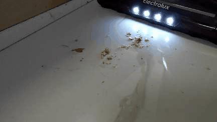 伊莱克斯吸尘器怎么样（伊莱克斯吸尘器评测）(8)