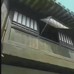 GIF爆笑的图片:啥也别说了,盘他