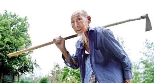 寿命长不光是因为多走路和多睡觉，或还需护好3处，助健康又长寿