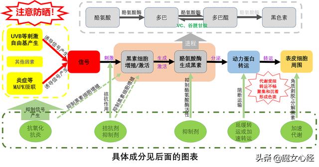 美白效果