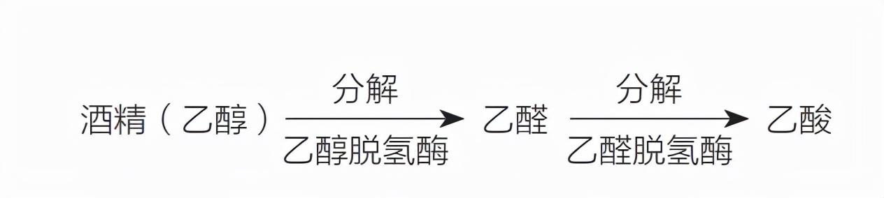 每年 80 万人因酒得癌，这是为什么？