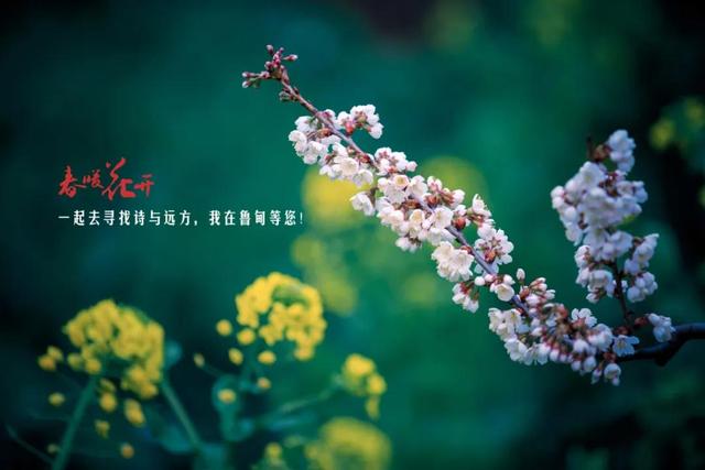 包含永德新型洗砂机厂商的词条