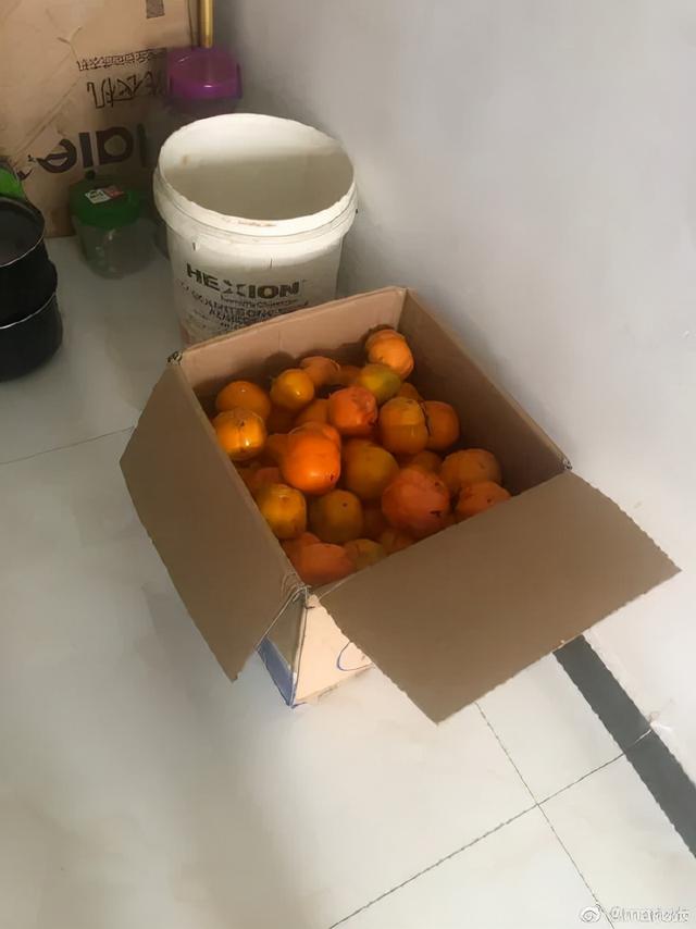 品读 | 箱子再大，也装不下爸妈的爱