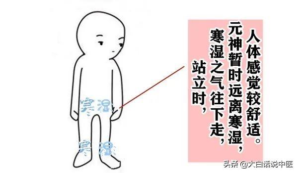 大白话说中医第83期｜失眠久了伤身体，健脾养胃补心气