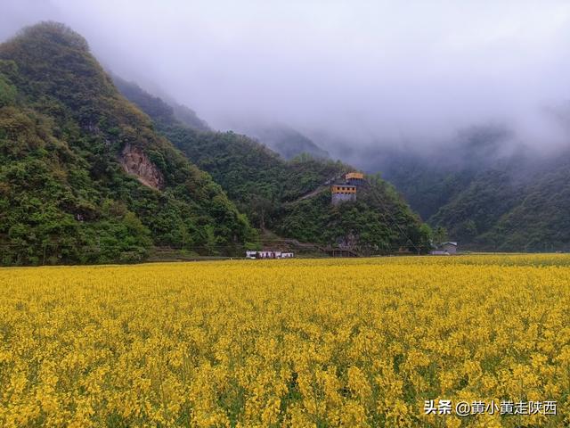 避暑農家樂(峨眉山后山避暑農家樂)
