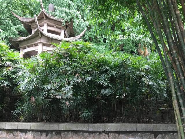 天门可逆锤式破碎机