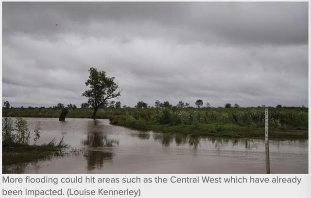 澳新州将迎来恶劣天气，恐引发洪水，气象局已向多地发出雷暴预警