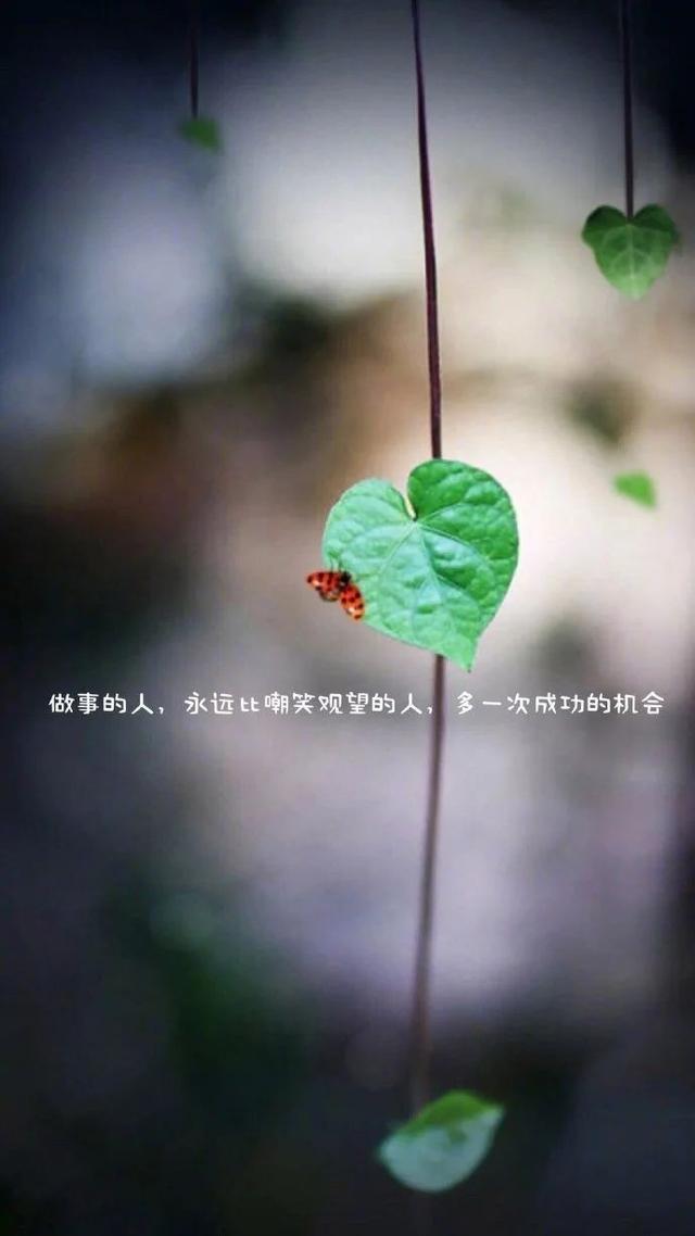 晚安心语温馨温暖说说句子图片：感受季节的变化，发现身边的美好