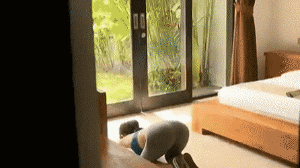 邪恶美女的GIF动态图图片：我劝你善良，衣服再低点