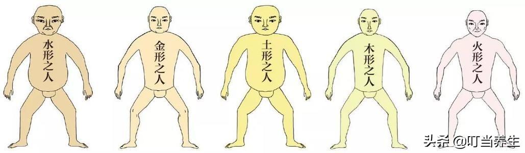 探古寻今，解密国人体质-五形体质