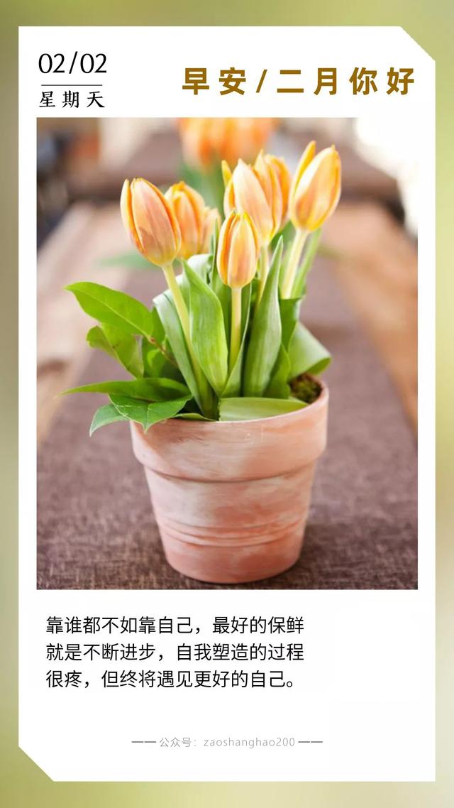 二月你好早安图片日签文字，2月正能量励志语录句子带字图片