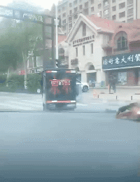 搞笑的GIF趣图：这表情可称帝！