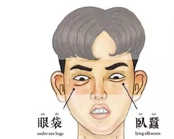 卧蚕,眼袋,傻傻分不清楚?其实并不难区分