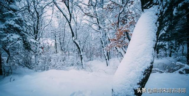 咏雪的古诗文