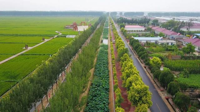 盘锦市农业现代化示范区