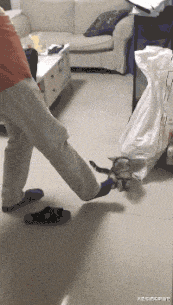爆笑的动图GIF:在酸臭的恋爱环境中,作为单身贵族的我独自沉沦/