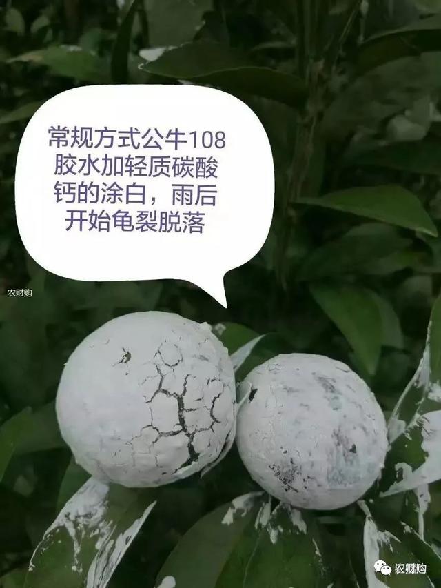 5类柑橘防晒剂大PK,优缺点详细介绍，究竟谁是下一个翘楚？2