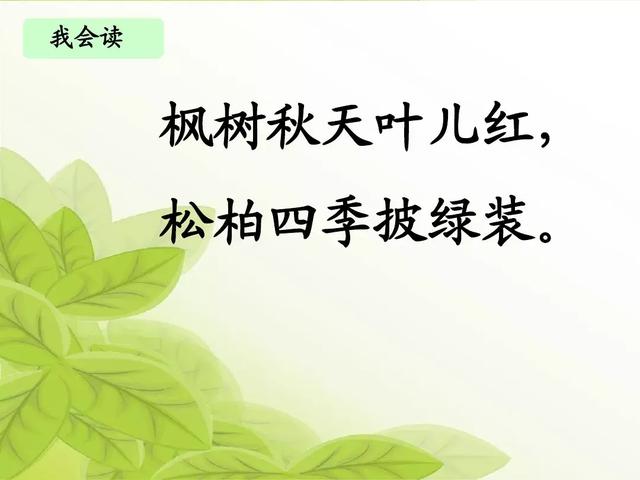 银杏水杉活化石是什么意思