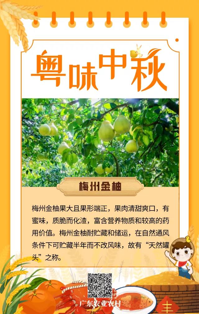 轮式洗砂机铭牌
