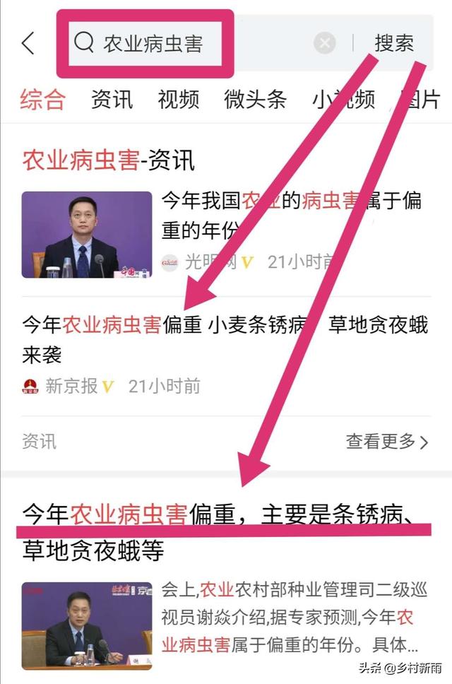 早春小麦条锈病如何破解？学好两招有效预防条锈病流行症3