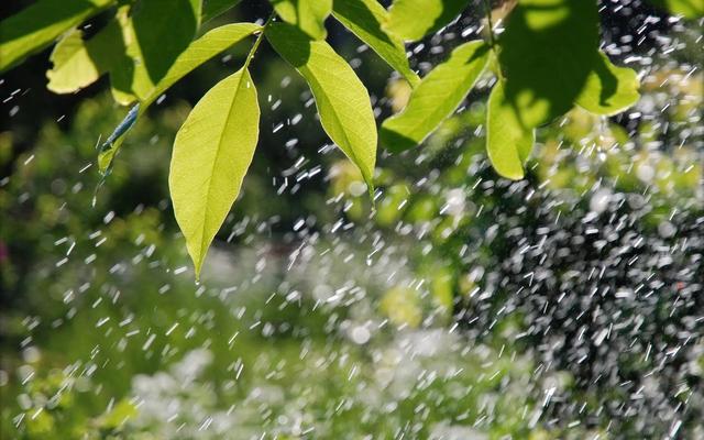 唯美句子文案——淅沥雨中漫步