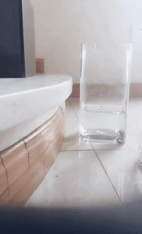 搞笑的动图GIF：小屁屁依然销魂！