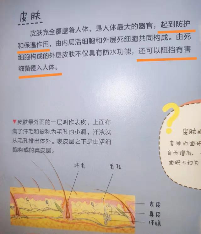 “妈妈，为什么我们会生病？”23张图给孩子解释：我们的身体