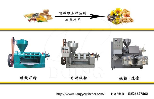 包含小型花生油过滤机哪有卖的词条