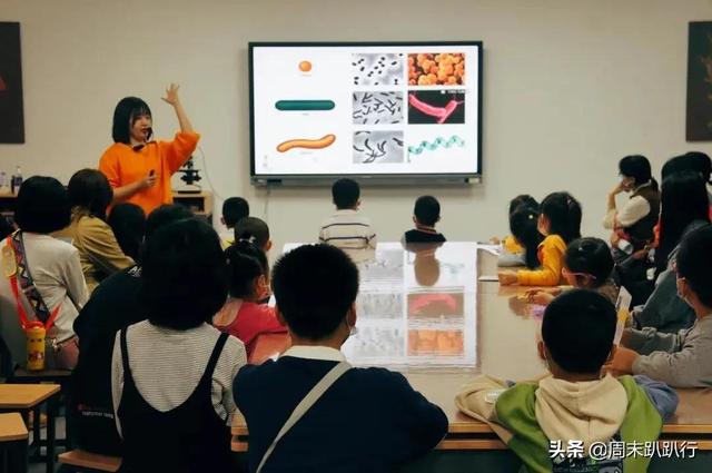 亲子打卡！科学探索，细菌好有趣啊，参观1000+件标本