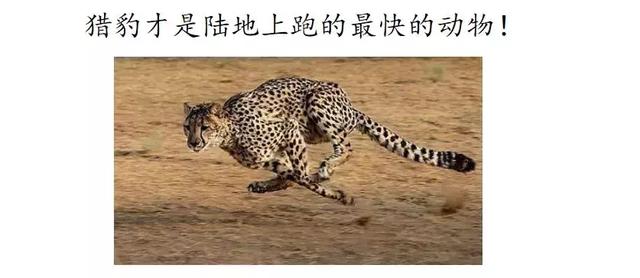 置之不理的置什么意思 置之不理的置什么意思（置之不理的理什么意思） 生活