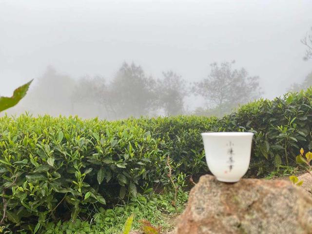 立夏洗砂机