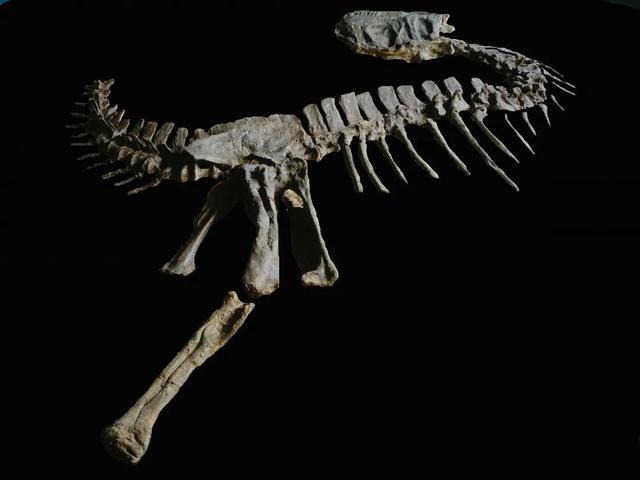 德化印刷机械展公司