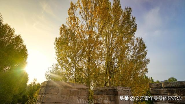 张掖过滤机