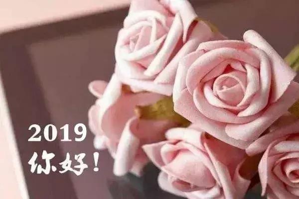 2019新的一年早安正能量心语图片：一定要活出更加漂亮的自己