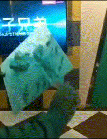 GIF爆笑的图片:啥也别说了,盘他