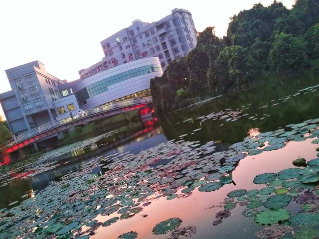 武汉工程大学桂展鹏教学