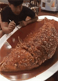 爆笑的动图GIF：你的男朋友正在痴痴地看着你