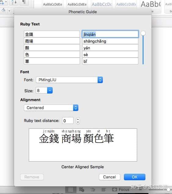 word音标