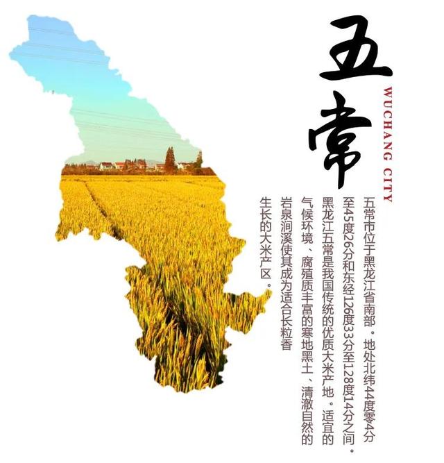 五常大米哪里买正宗，中国好米在东北东北好米在五常
