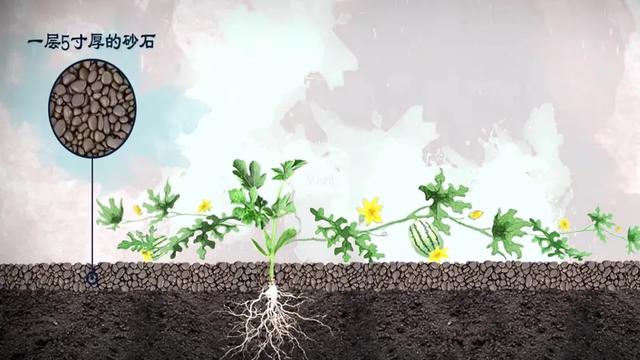 宁夏洗砂机回收的原因