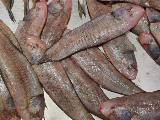 这4种鱼平时尽量少吃，或会携带甲醛和重金属，看有你爱吃的吗？