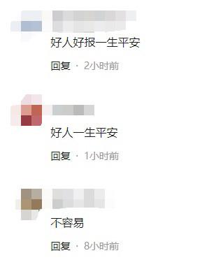上海宠物猫领养 上海宠物猫领养