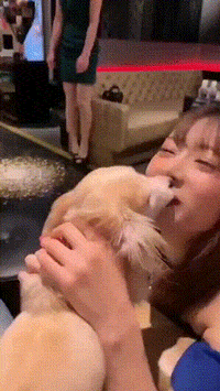 成人邪恶gif：妹子身上的纹身很漂亮