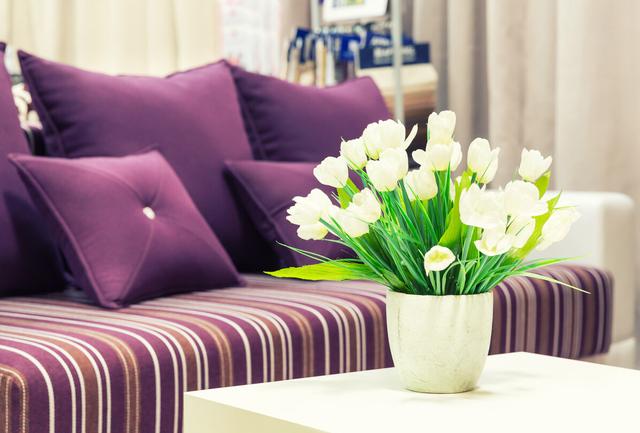 适合养在卧室里的"四种花",促睡眠利于健康,关键还好养,好闻 什么花