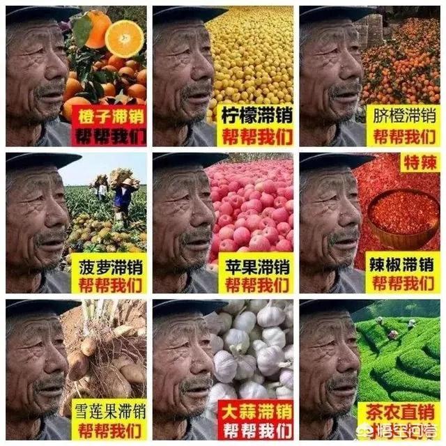 “云上的小店”模式，化解了凡间民忧