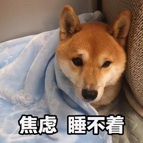 狗钩虫病